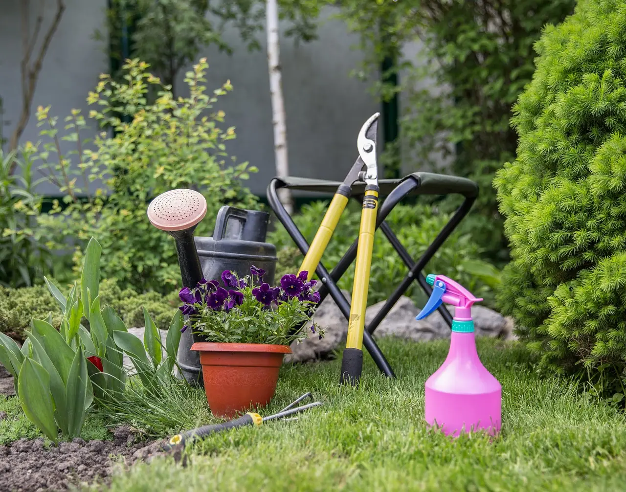 Tutto quello che c’è da sapere sul settore del giardinaggio: curiosità, opportunità e nuove tendenze