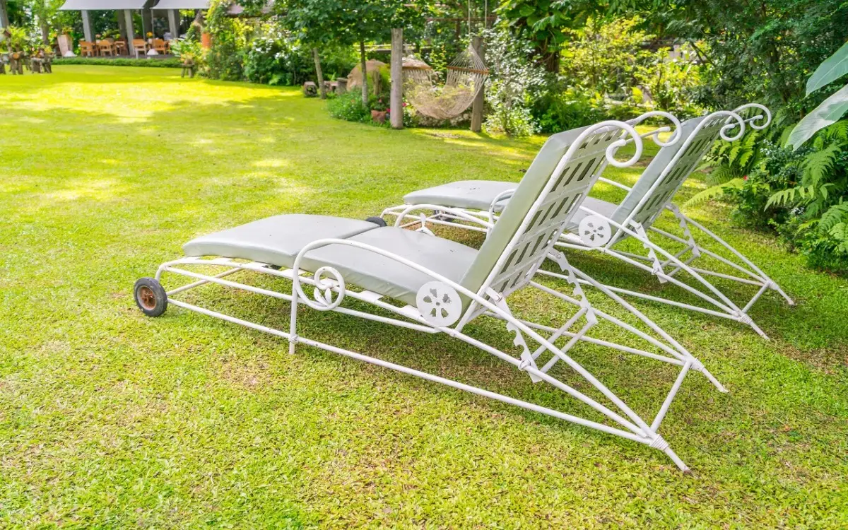 Le migliori piante per creare privacy in giardino: idee verdi per proteggere spazio e tranquillità