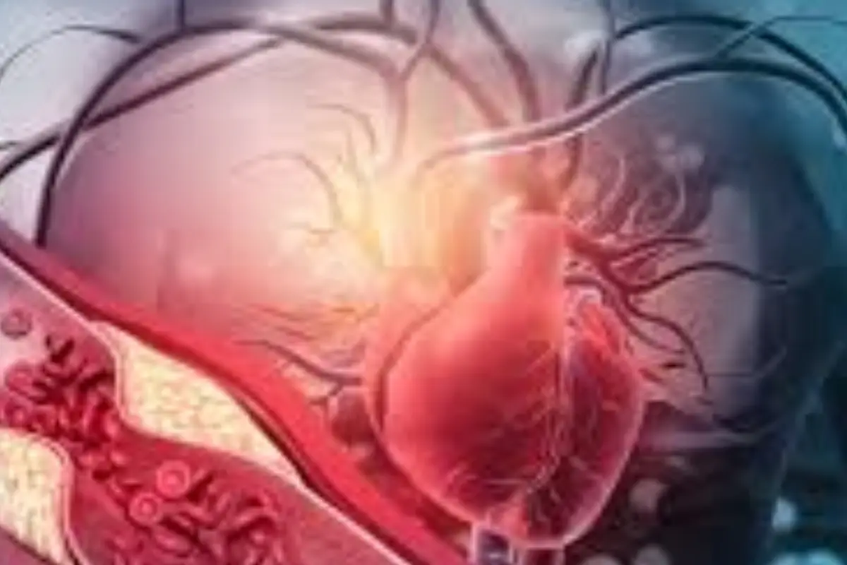 Quando il cuore fa i capricci: guida semplice per distinguere infarto e ansia