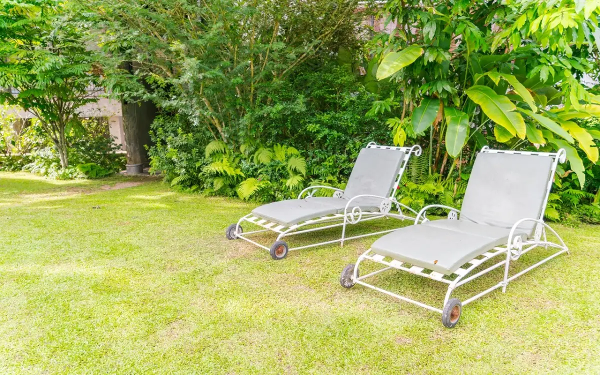 Scopri i vermi dell’umidità: così capisci subito se il tuo giardino è in pericolo