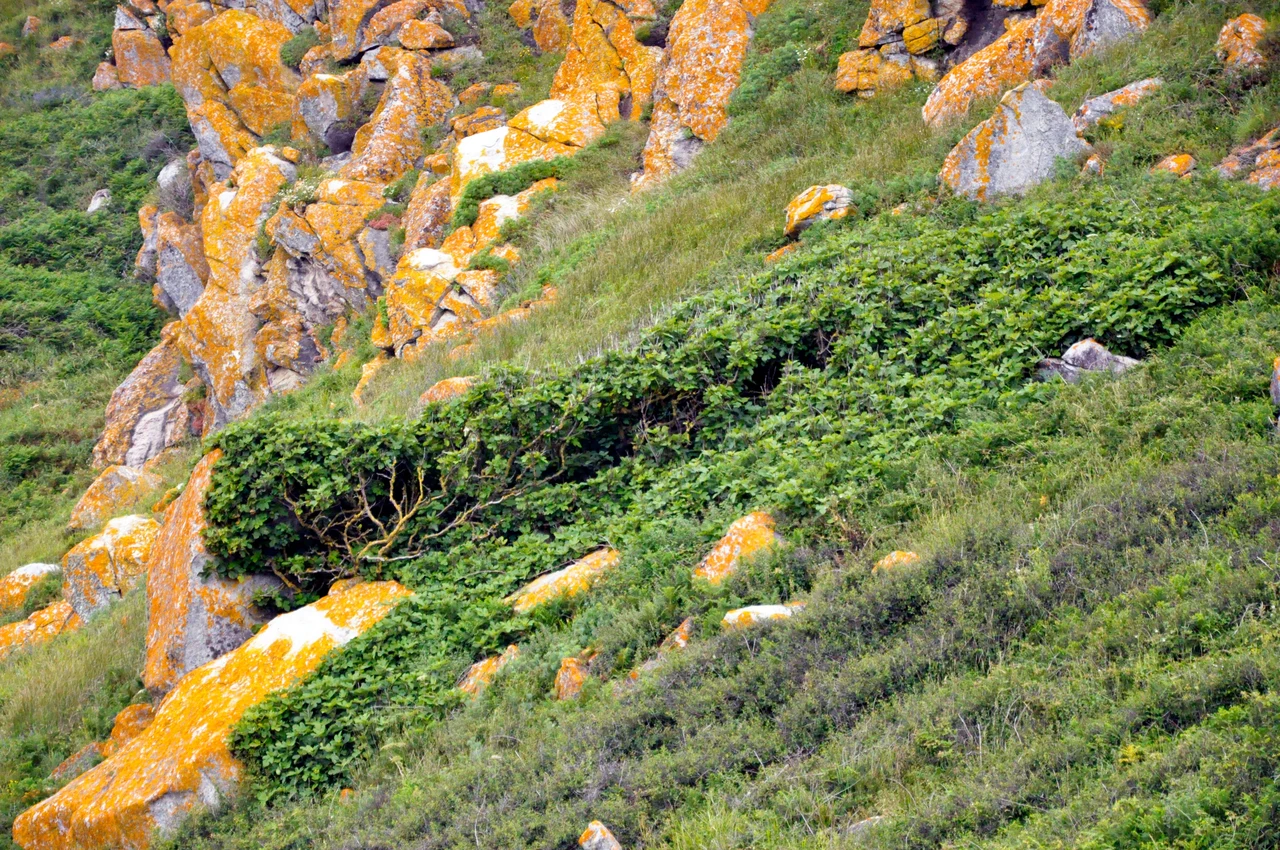 Riesci a localizzare i rifugi degli animali nascosti proprio accanto a casa tua?