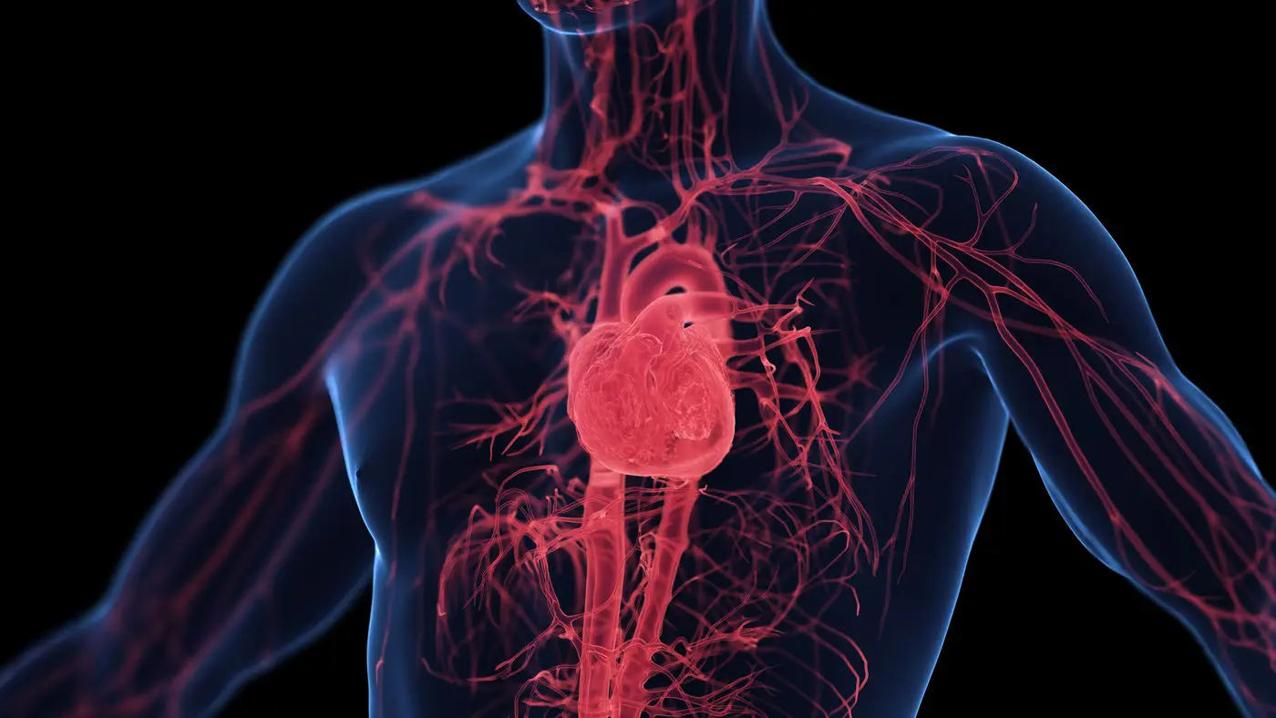Il cardiomiopatia di Fabry: ecco perché colpisce poche persone ma può avere gravi conseguenze