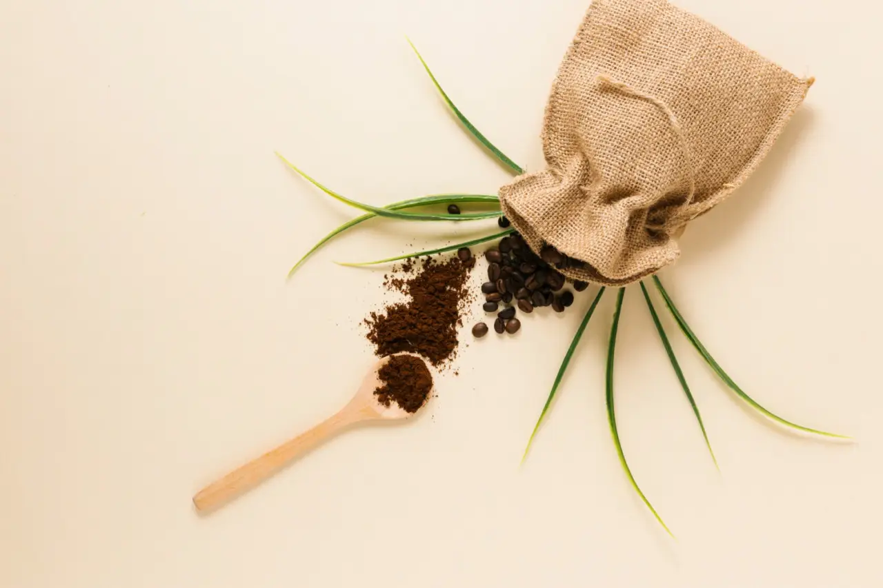 Allerta su questo alimento: contiene più caffeina di un espresso e nessuno lo sa
