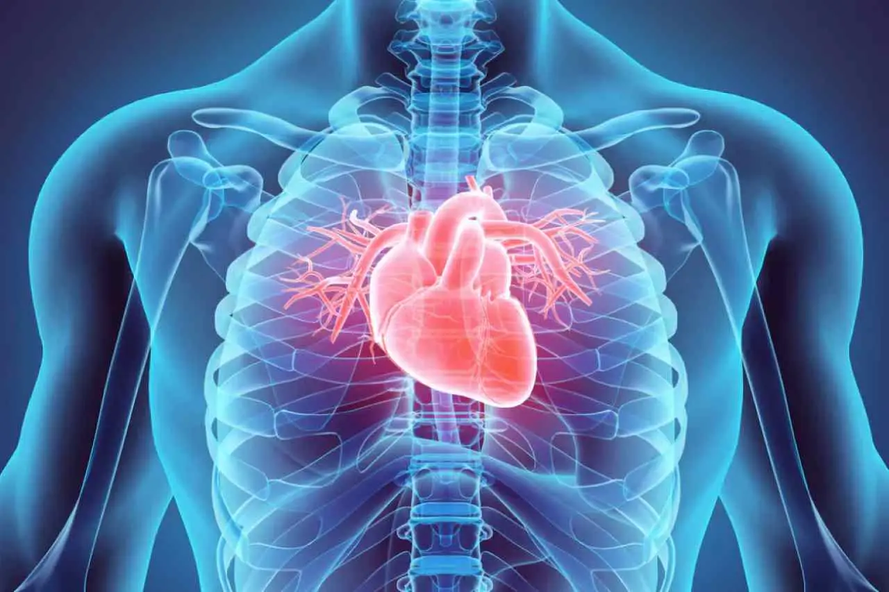 Le 4 malattie genetiche del cuore più frequenti: ecco quali sono