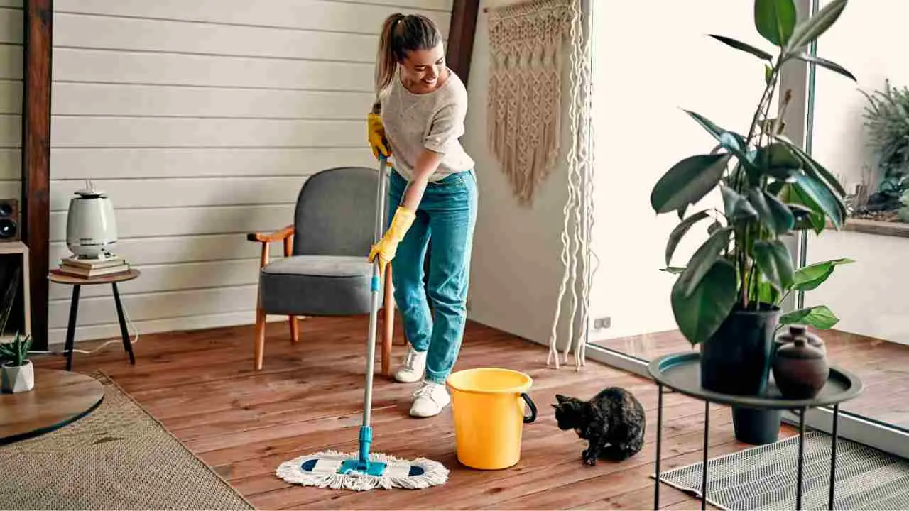 Casa fresca senza fatica: i trucchi dei professionisti per una pulizia profonda d’estate