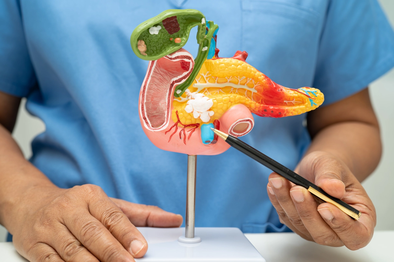 Tre abitudini quotidiane per mantenere il pancreas in salute: scopri quali sono